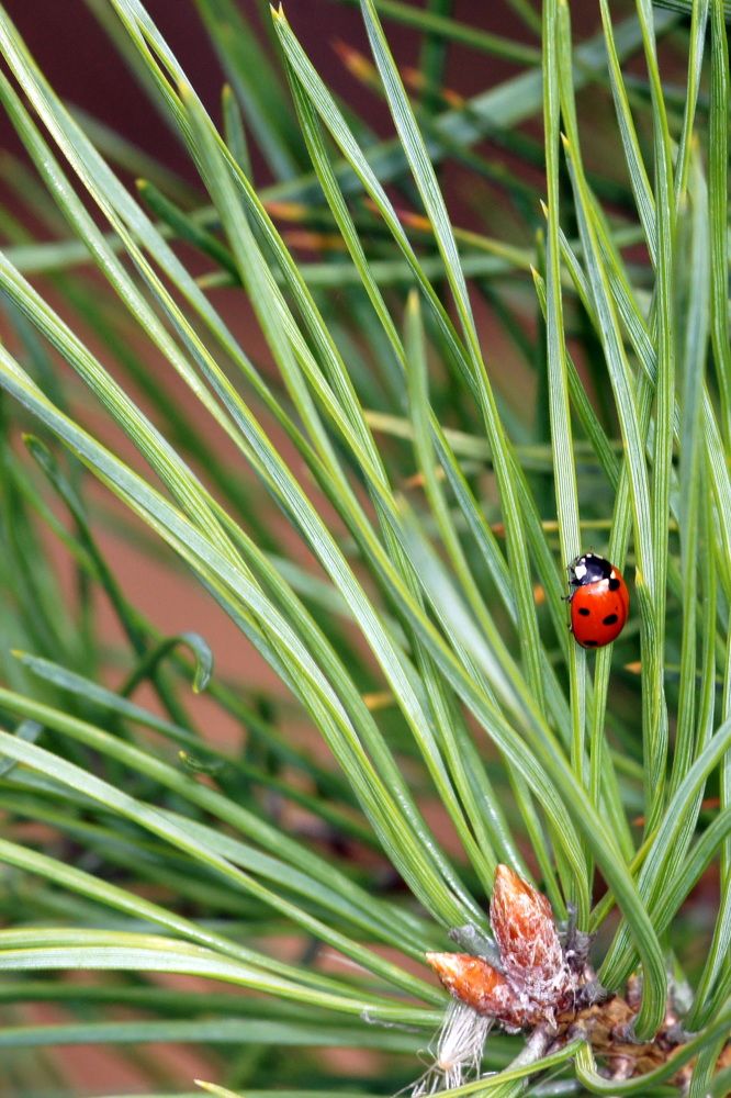 Photograph by Исаков Александр