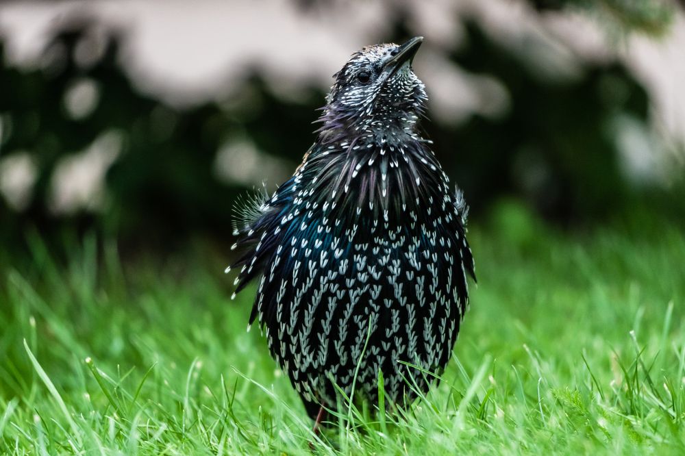 Photograph by Aleksander