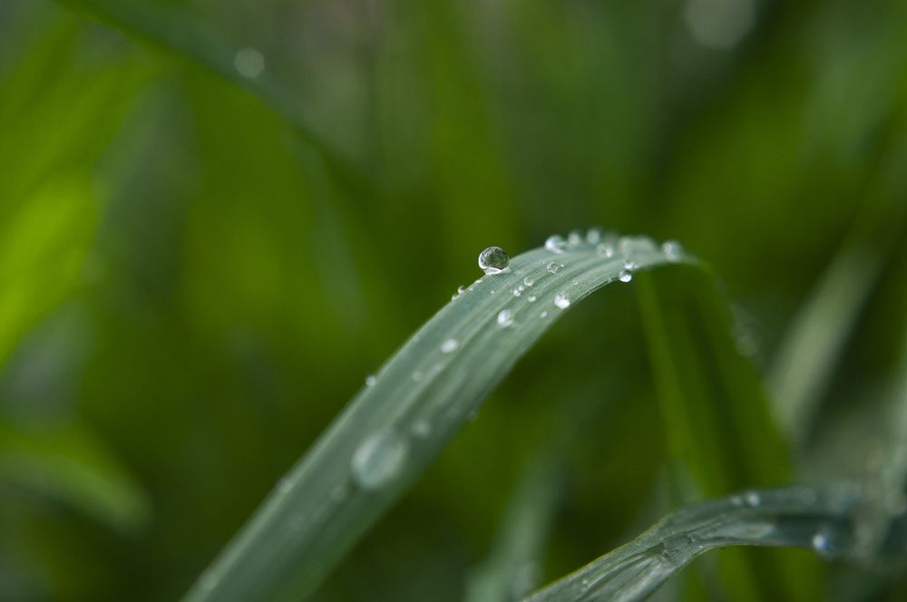 Photograph by Алёна Шматова