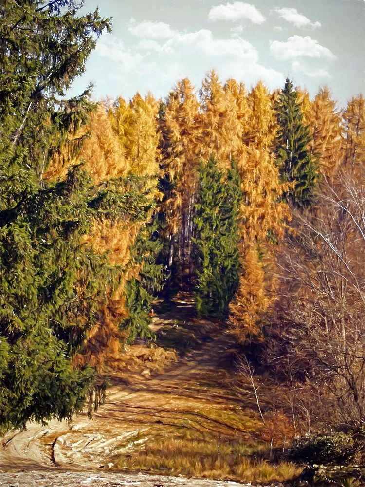 Photograph by Silviu Cojanu