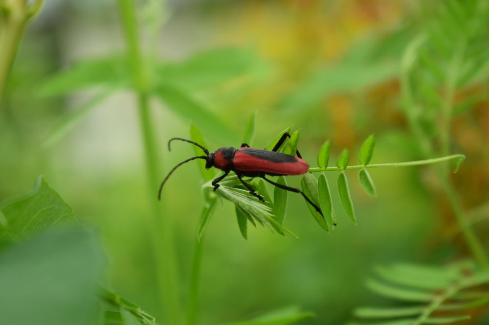 Photograph by Наталья Еременко