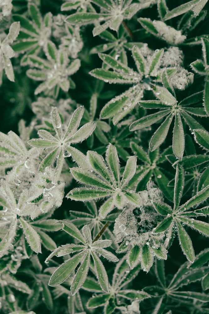 Photograph by Наталья Молоткова