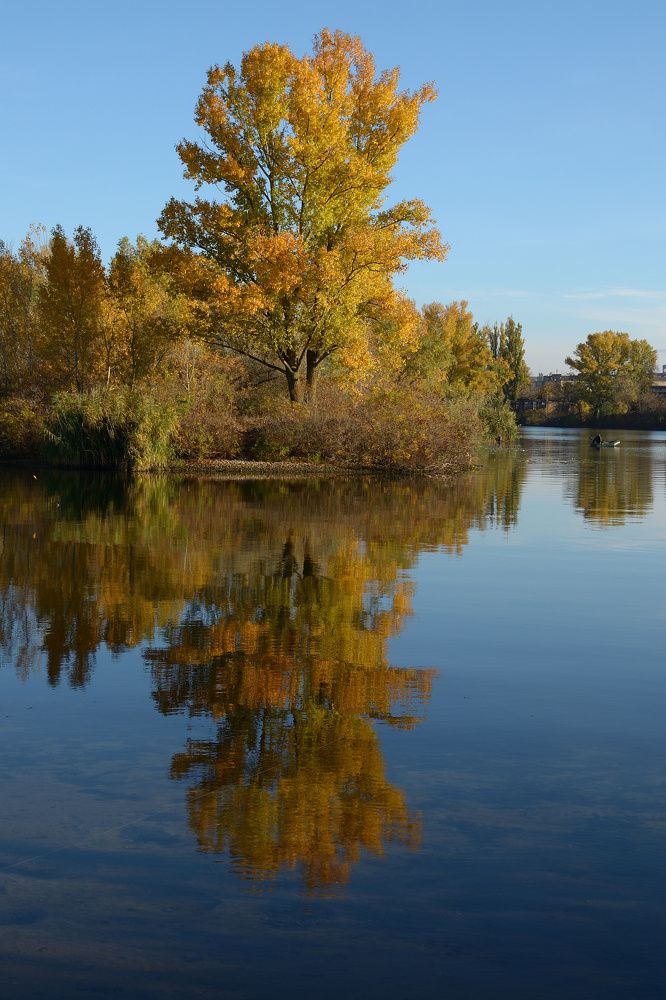 Фотография автора Алексей Батюков