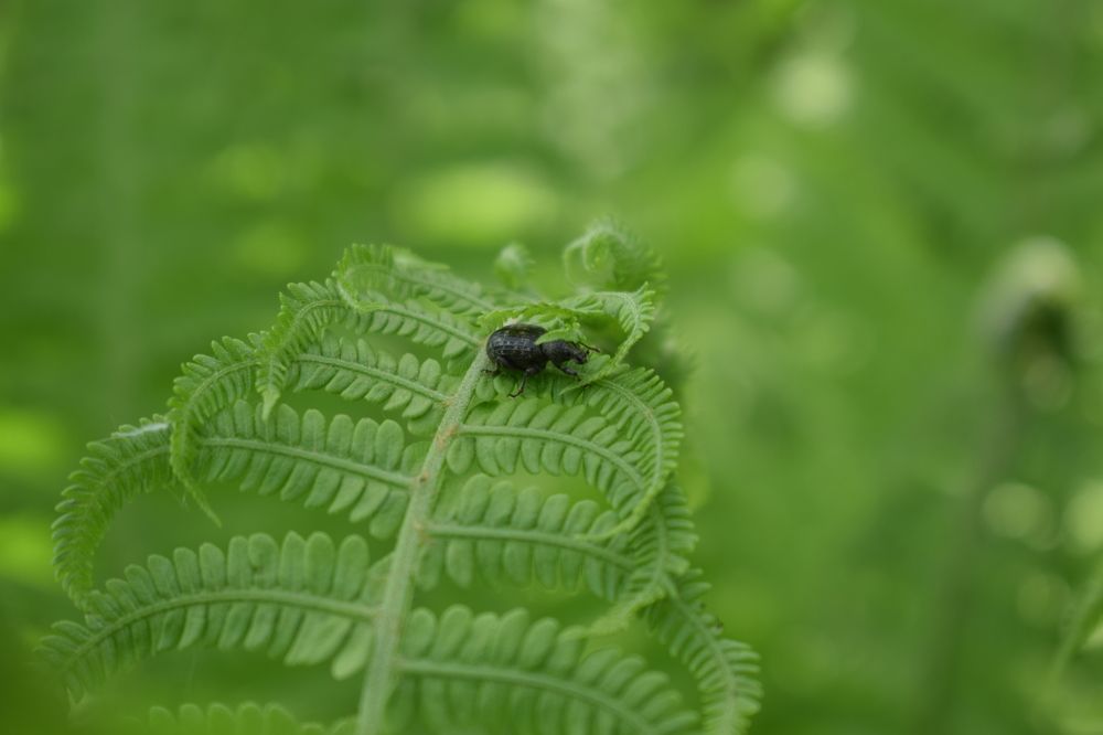 Photograph by Наталья Еременко
