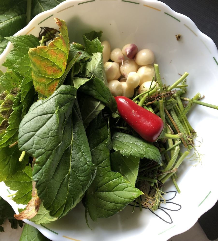 Photograph by Мария Бессмертная