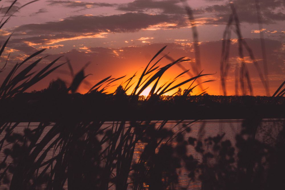 Photograph by Дмитрий Никулин