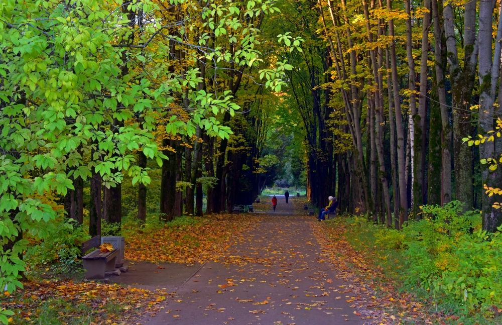 Photograph by Дмитрий Розенбаум