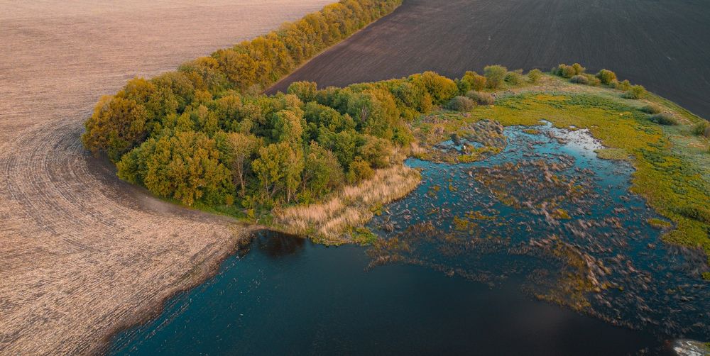 Photograph by Жанна Срибная