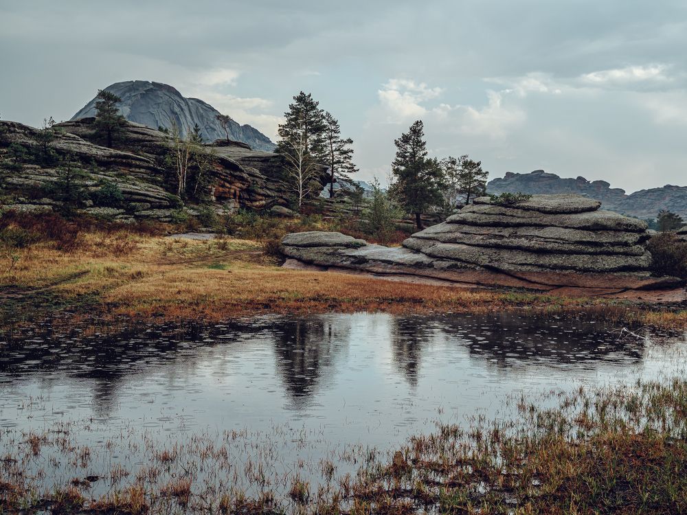 Фотография автора Юлия Есина