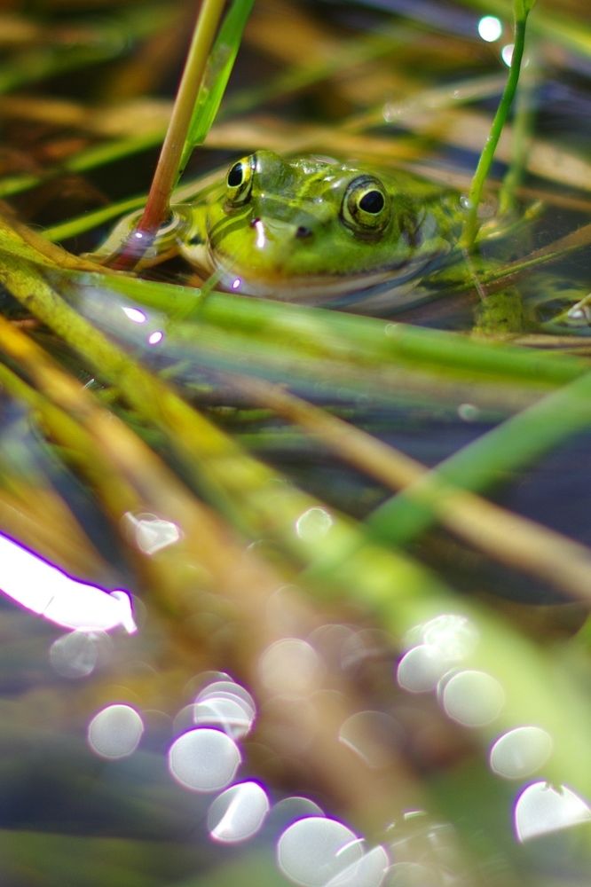 Photograph by Alexandr Bushmelev