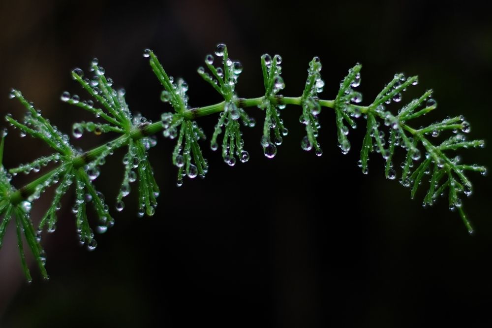 Photograph by Alexandr Bushmelev