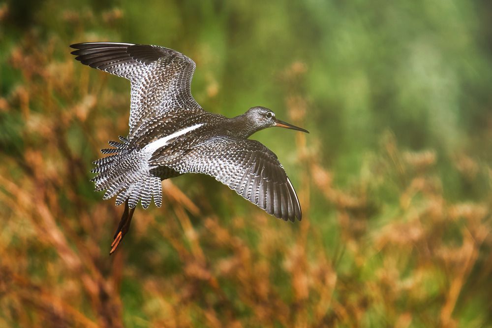 Photograph by Поляков Михаил