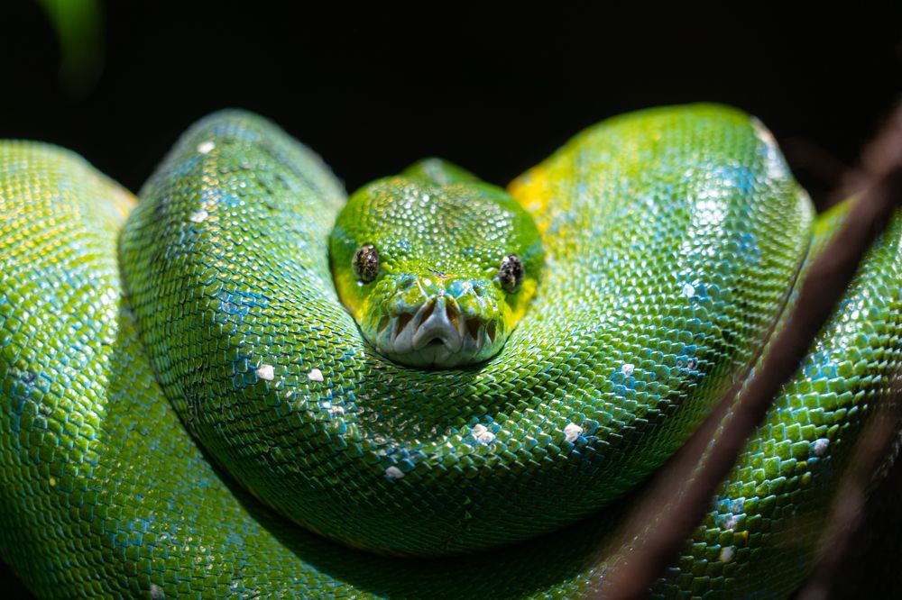 Photograph by Julia A Caesar