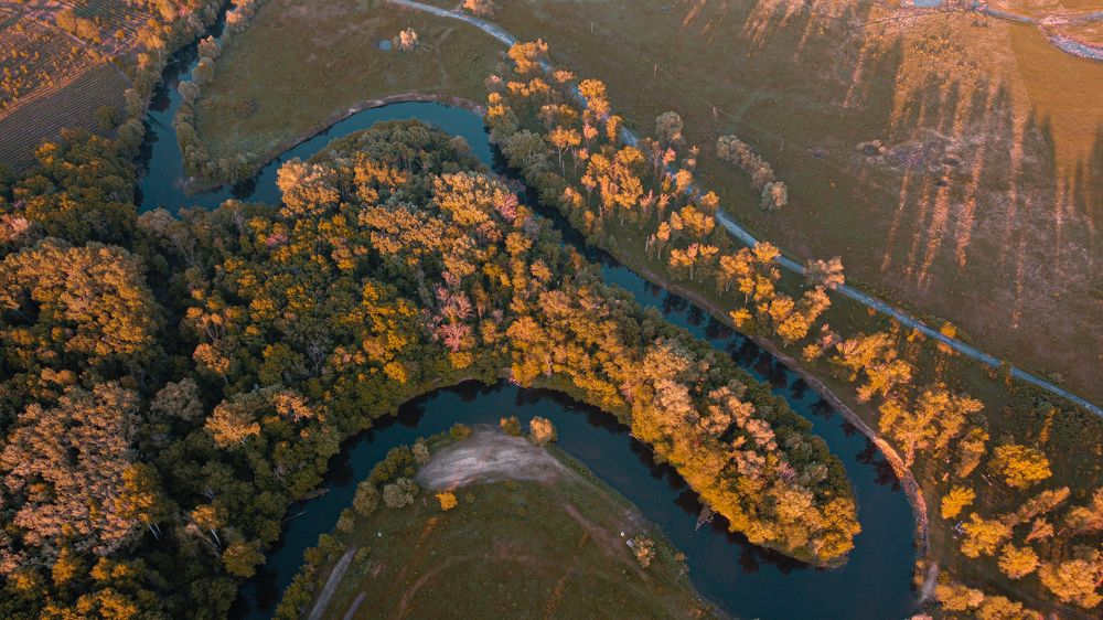 Photograph by Жанна Срибная