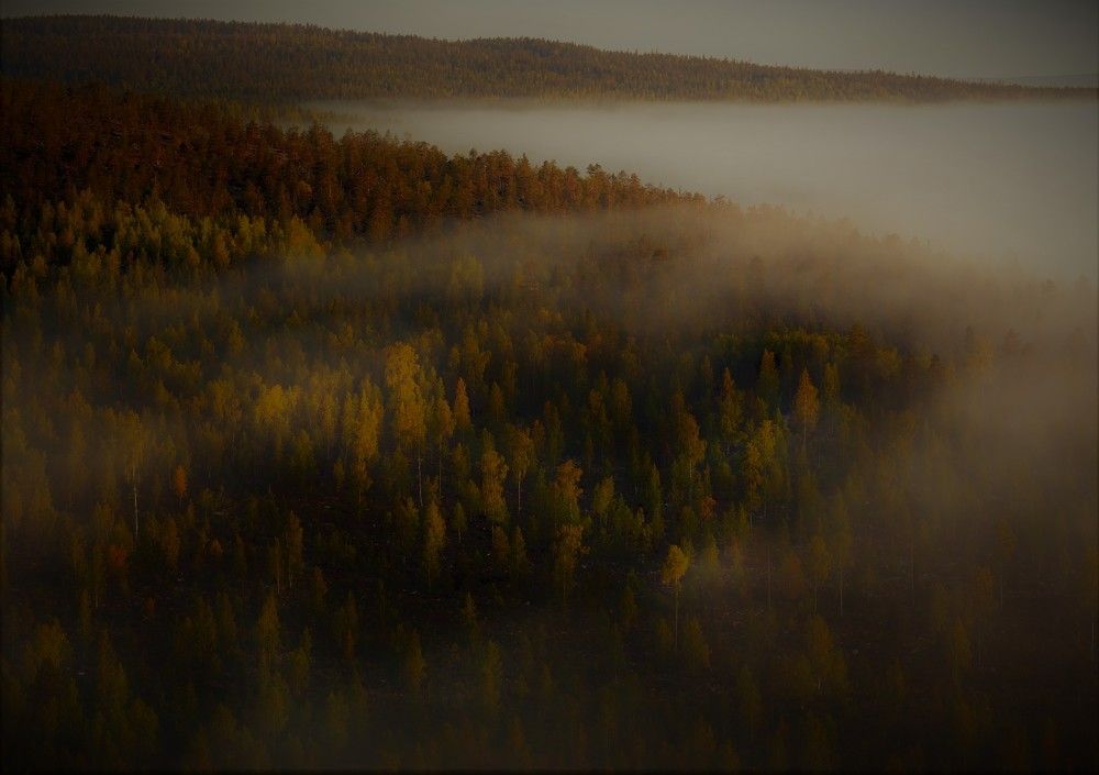 Photograph by Aristenko Evgeny