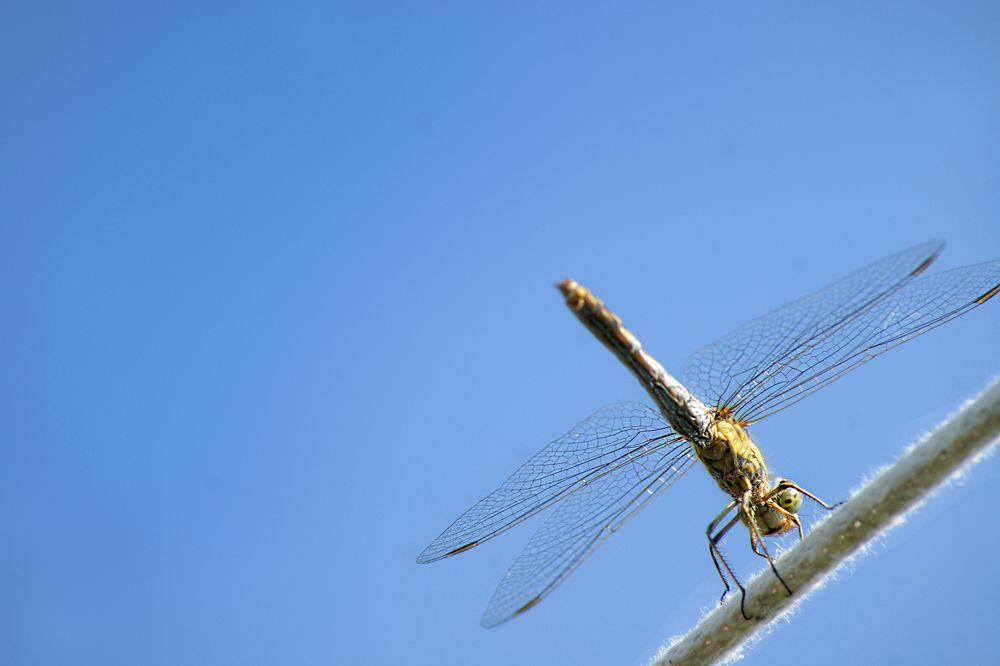 Photograph by Светлана Тарханова