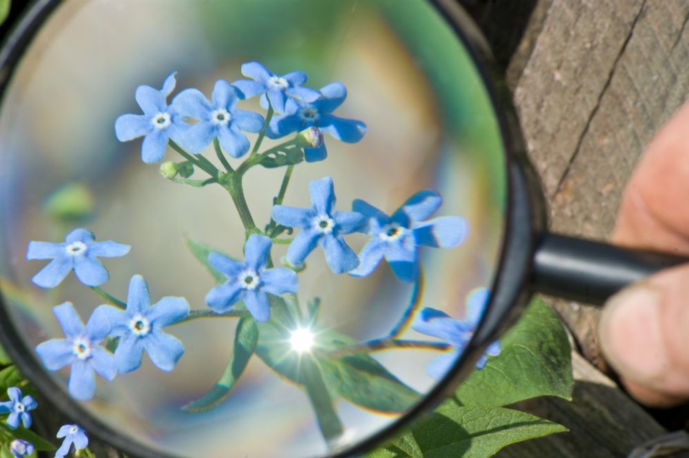 Photograph by Светлана Тарханова