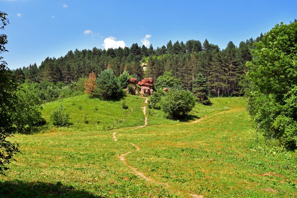 Photograph by Fedor Kadurin