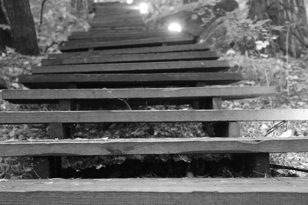 Photograph by Софья Белоногова