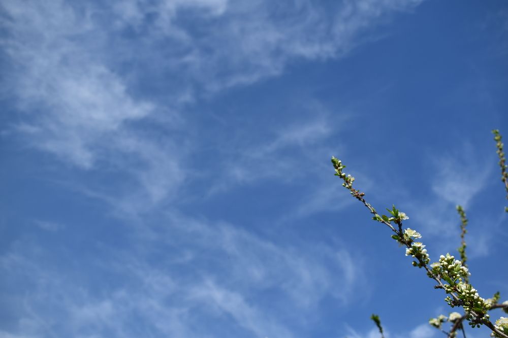 Photograph by Наталья Еременко