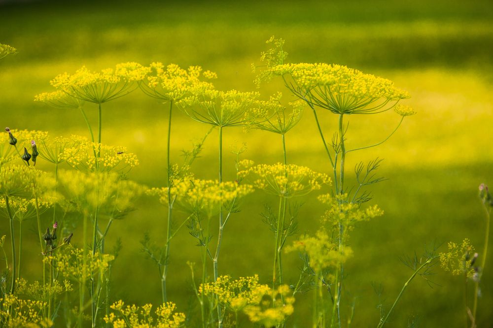 Photograph by Владимир Кривенко