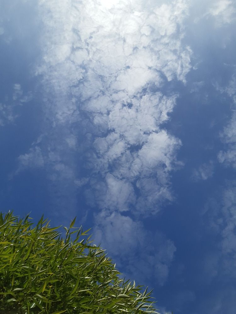 Photograph by Татьяна Смирнова