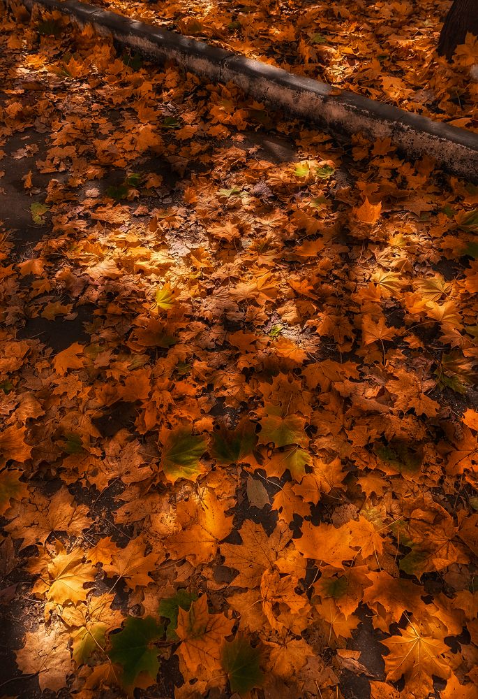 Photograph by Юлия Чиклеева