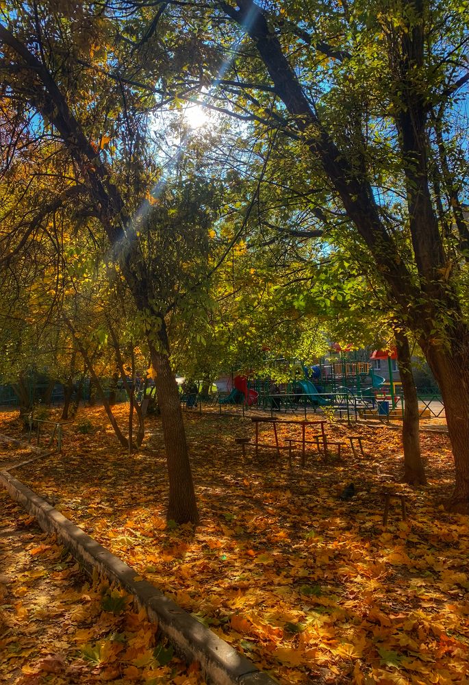 Photograph by Юлия Чиклеева