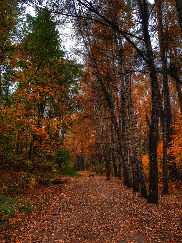 Photograph by Юлия Чиклеева