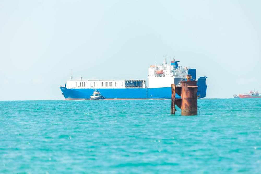 Photograph by Марина Комина