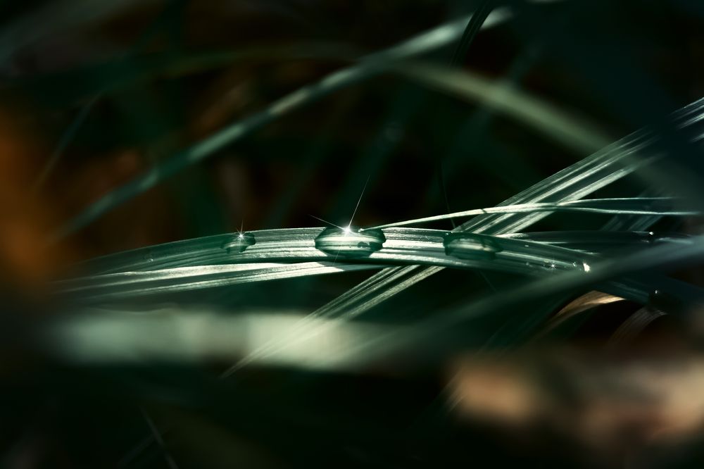 Photograph by Александр Слепцов