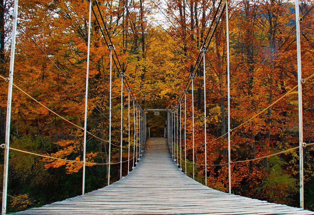 Photograph by Андрей Евтеев