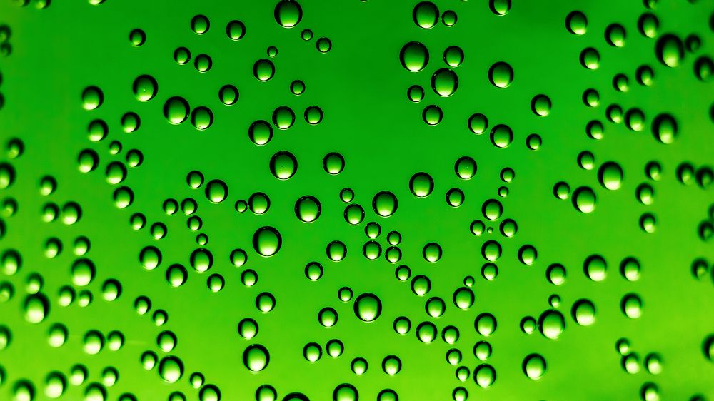 Photograph by Александр Слепцов