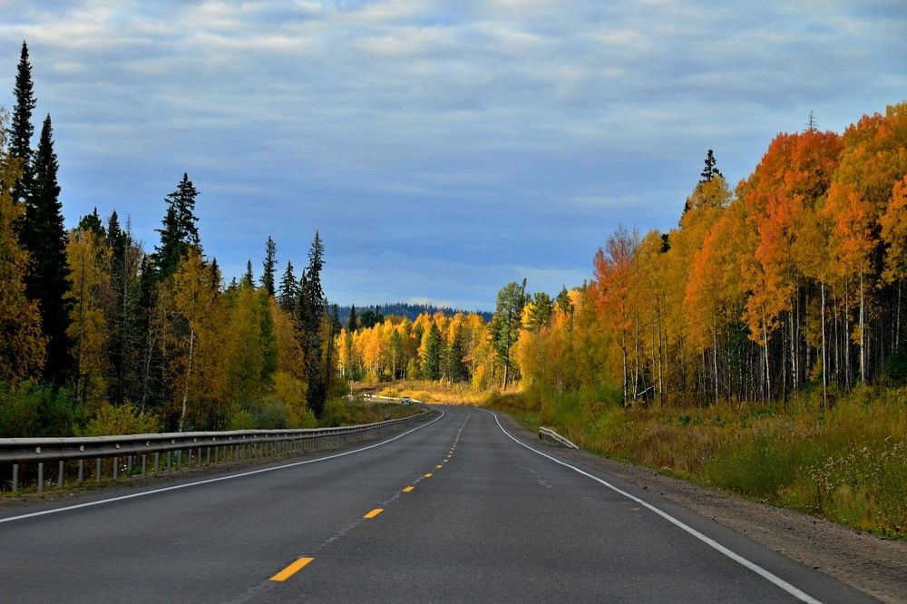 Photograph by Людмила