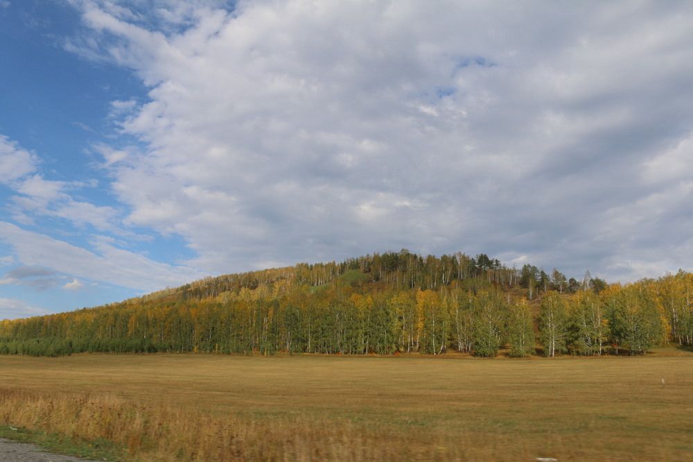 Photograph by Софья Белоногова