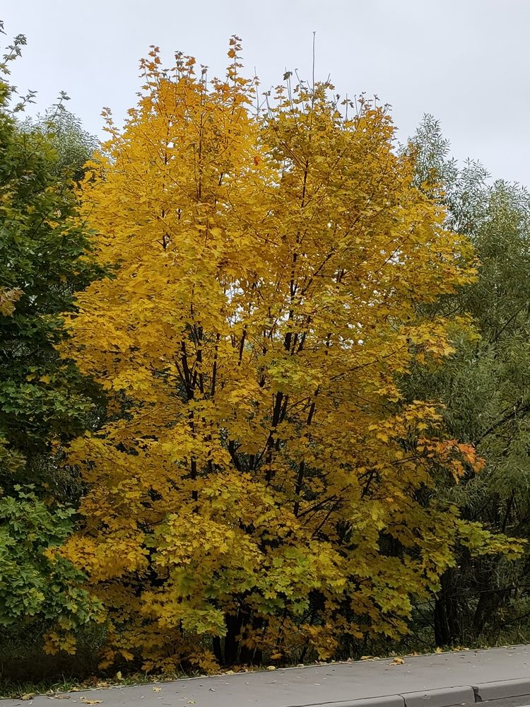 Photograph by Денис Нарышев