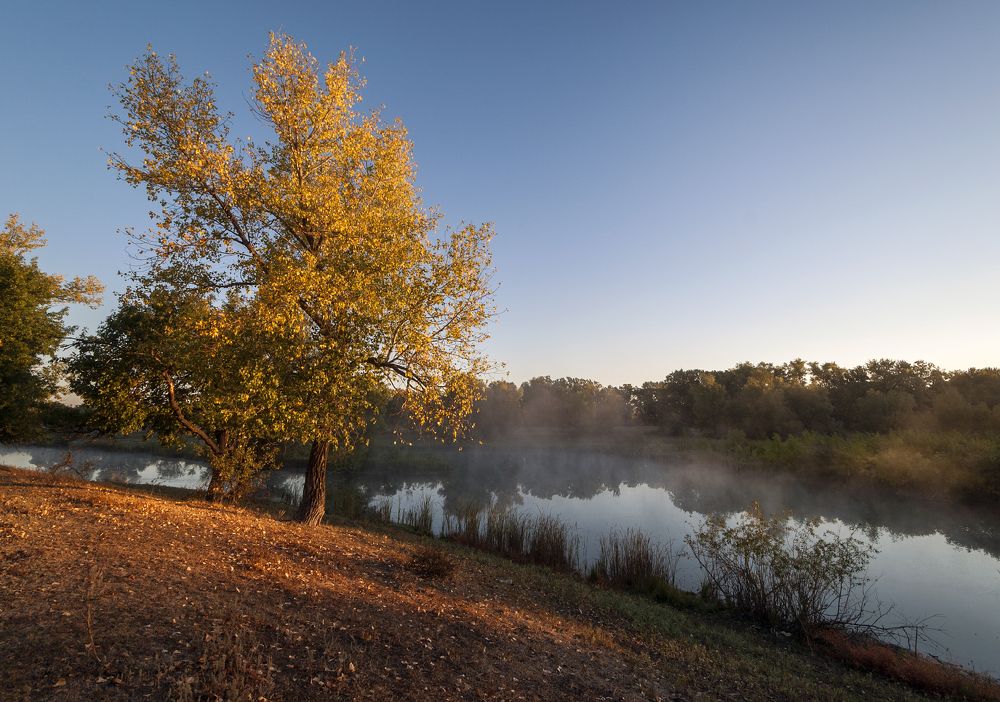 Photograph by Александр Белянский