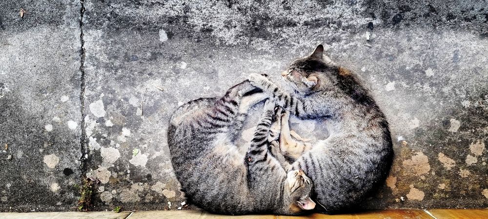 Photograph by Anna Zelinskaya