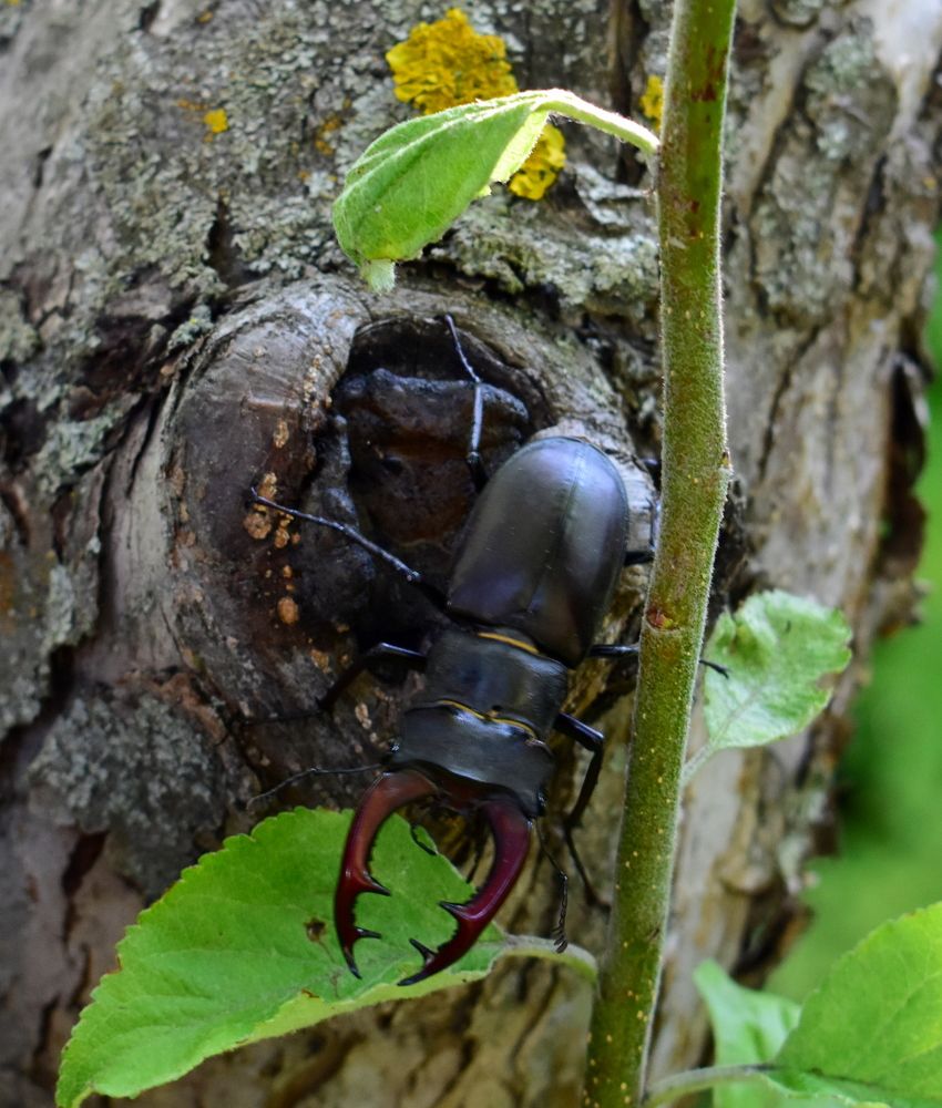 Photograph by Галина Купцова