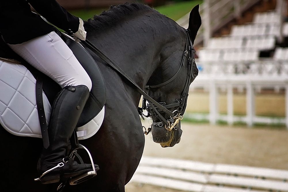 Photograph by Малиновская Леся