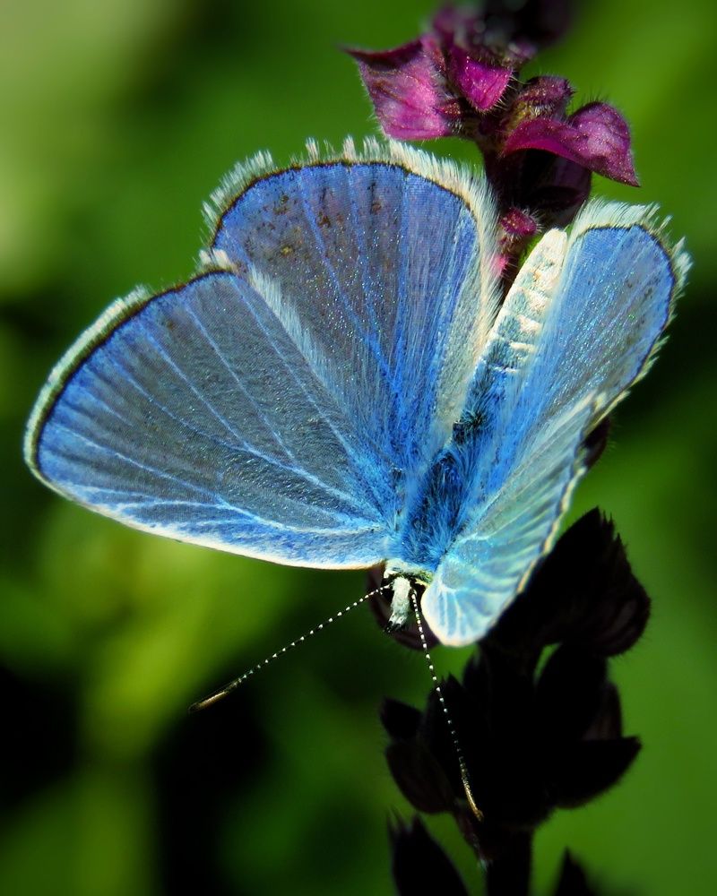 Photograph by Amin Ghaffarian