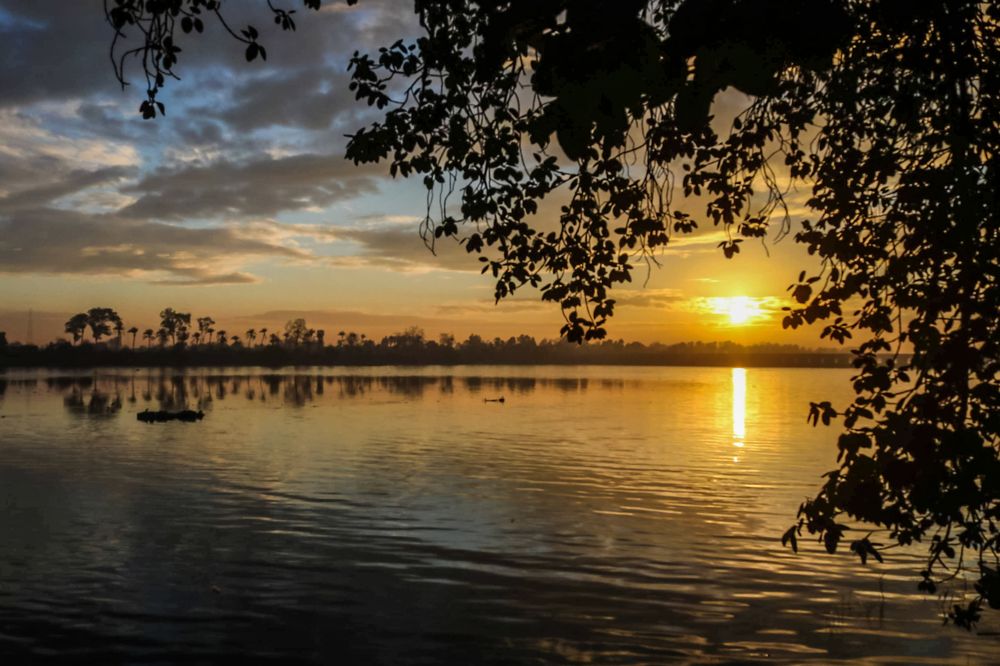 Фотография автора Adel elqamhawi Mohamed