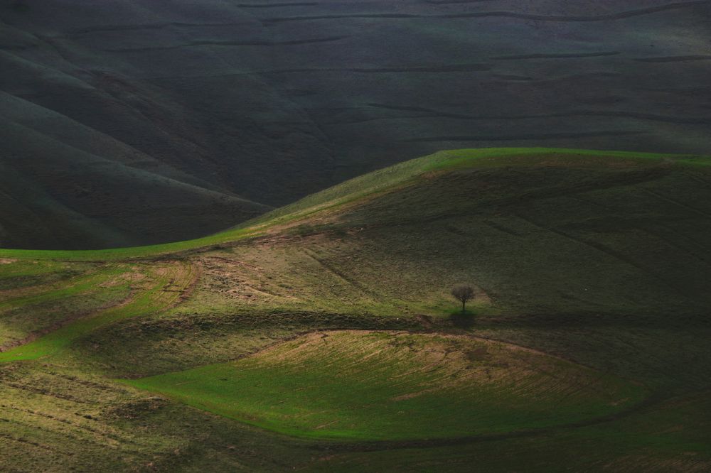 Фотография автора amir shafahi