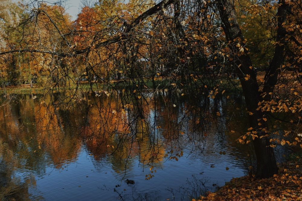 Photograph by Валерия Кутуева