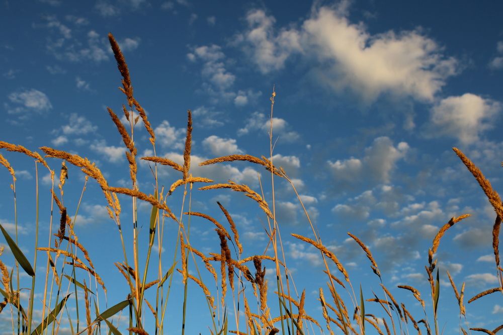 Photograph by Елена Коровкина