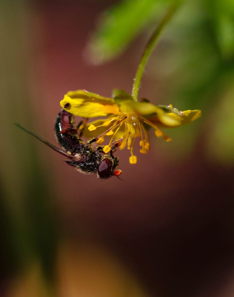 Photograph by Екатерина