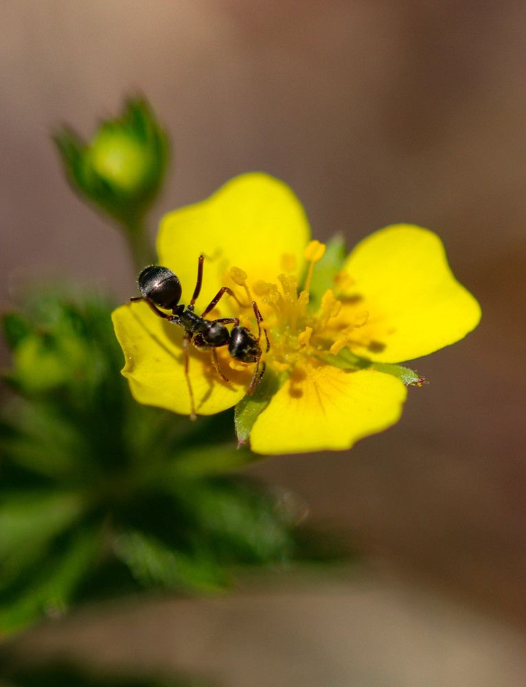 Photograph by Екатерина