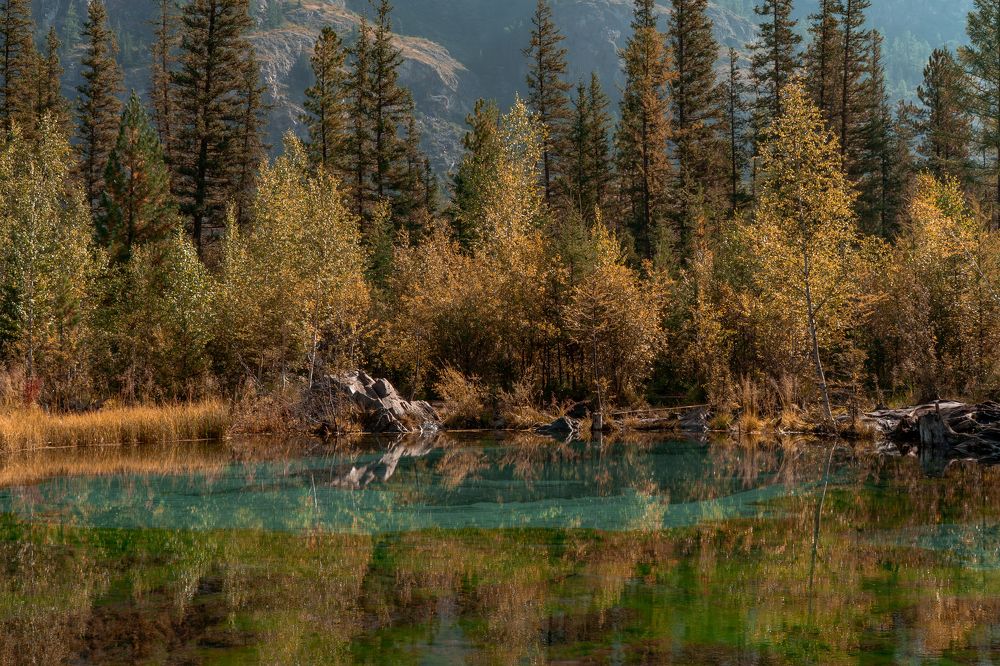 Photograph by Андрей Шишлов