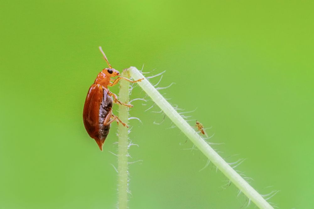 Photograph by Shahariar Alam