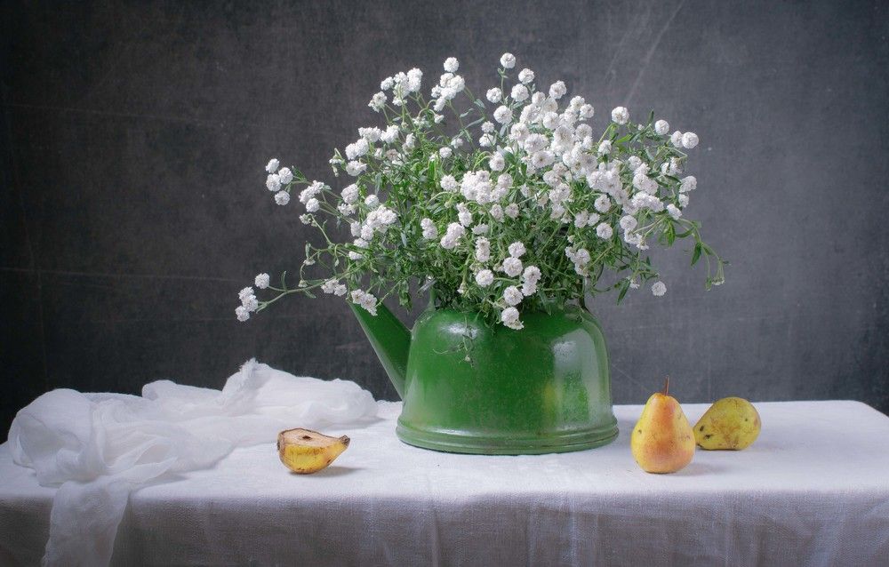 Photograph by Елена Кулыгина